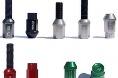 SCREWS-e1724558828564